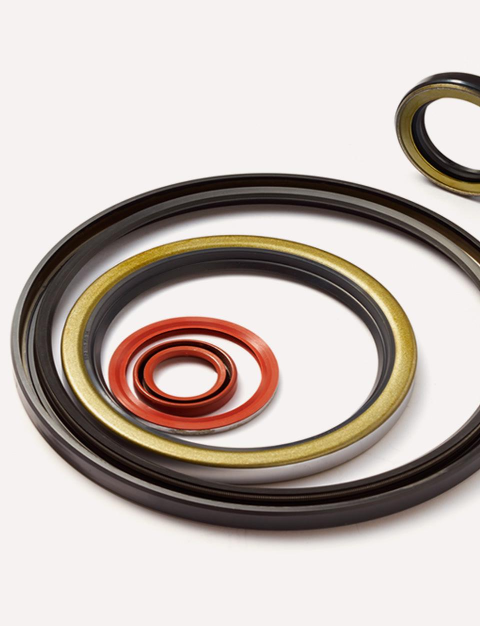 oil-seal